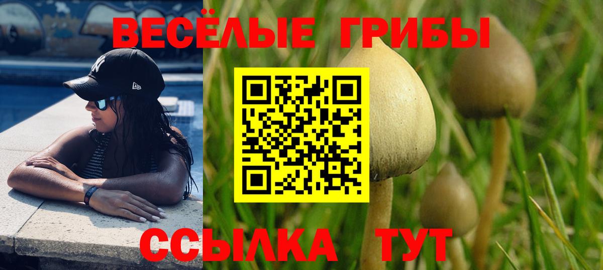 Дубна  Псилоцибиновые грибы Cubensis  Вход с VPN  Псилоцибиновые грибы ЛСД 
